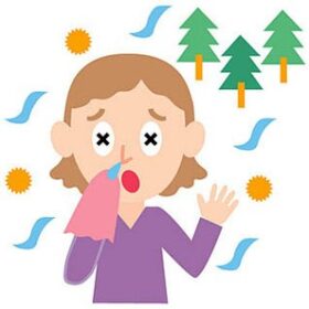 布団の花粉対策！春も気持ちいい布団で寝るために出来ること