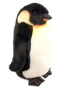 pengin