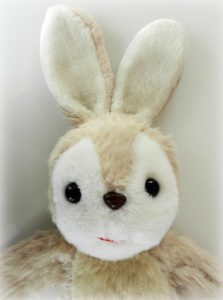 rabbit_0001