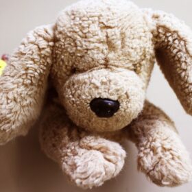 綿入れ・植毛修理～ハゲて痩せてしまったぬいぐるみ