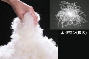 ダウン衣類の中身