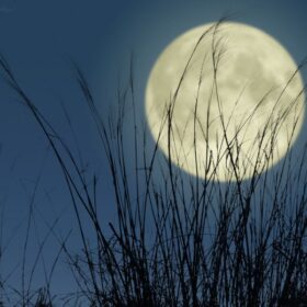 クリーニング歳時記　9月（長月）