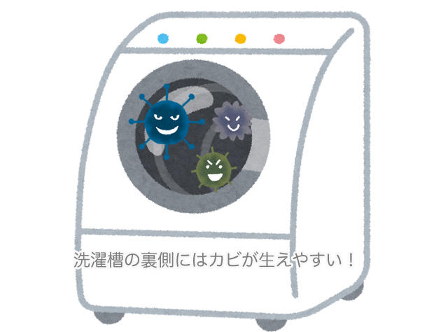 洗濯槽のカビ