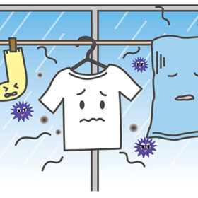洗濯物から生乾き臭がするのはなぜ?イヤな臭いの解消方法をご紹介!