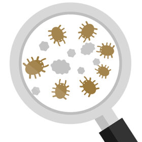 ダニのシーズンが始まっています。家庭でできるダニ対策