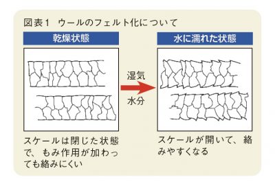 ウールのフェルト化の説明