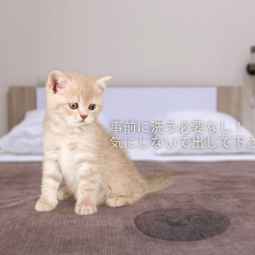 クリーニングと家庭洗濯の違いは？