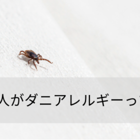 布団のダニ対策。「防ダニ加工」の効果は？安全性は？