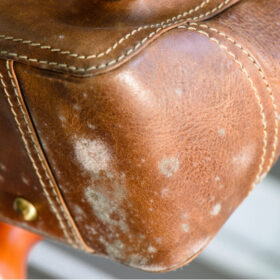 湿気がレザーに与える影響とは?カビ・ベタつき防止の梅雨対策クリーニング