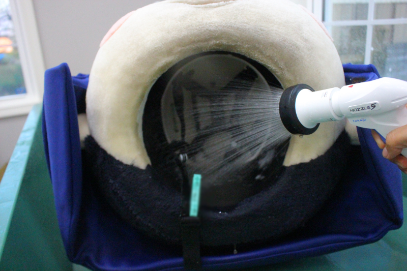 着ぐるみ・キャラクター衣装のクリーニング