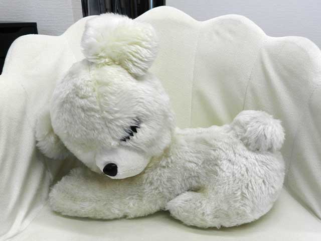 修理後の犬のぬいぐるみ