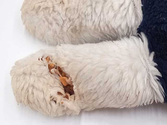 足のホツレからみえるウレタン綿の様子