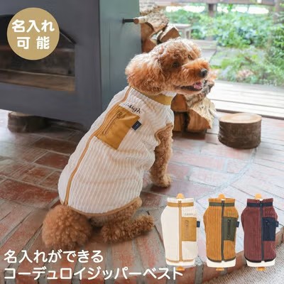 ヴァーグ