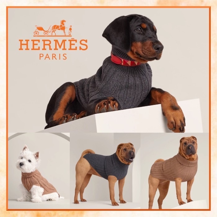 エルメス 犬用コート