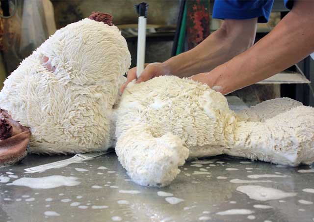 しっかりと手洗いされるスヌーピー