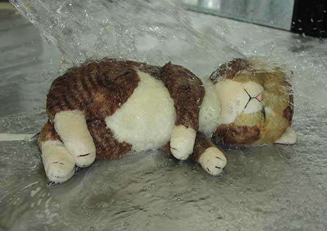 大量の水で洗われる猫のぬいぐるみ
