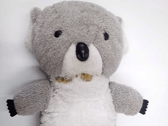 お預かり時のコアラのぬいぐるみ。服や本体の状態を確認します。