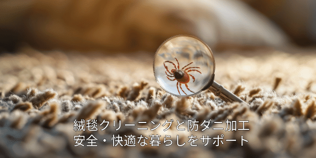 毛足のお手入れを考えるためのイメージ。洗浄と防ダニ加工は別の内容として確認します。