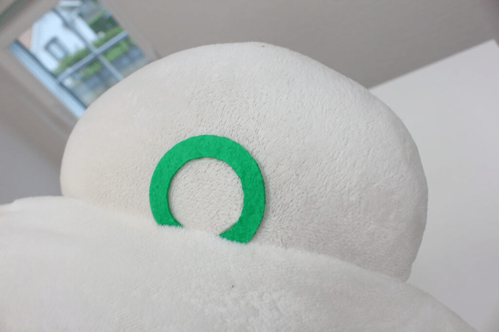 ケア後の耳。緑色のパーツと白い布を区別して仕上がりを確認します。