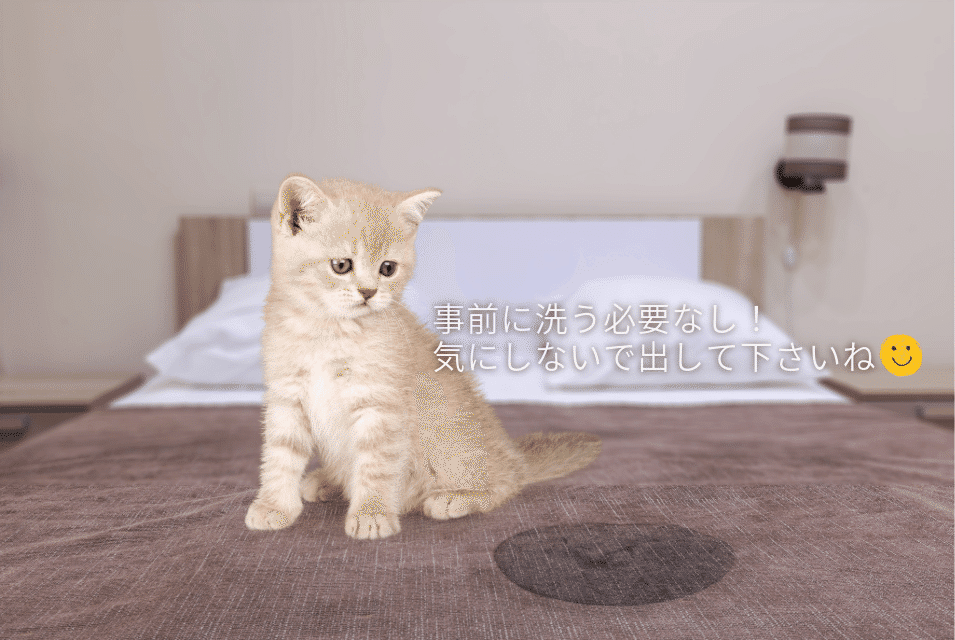 ペットによる汚れの相談案内。汚物の付着や強い汚染がある場合は、送る前に必ず受付方法を確認してください。