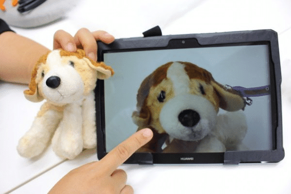 お預かり時の写真と照らし合わせ、表情を確認します。