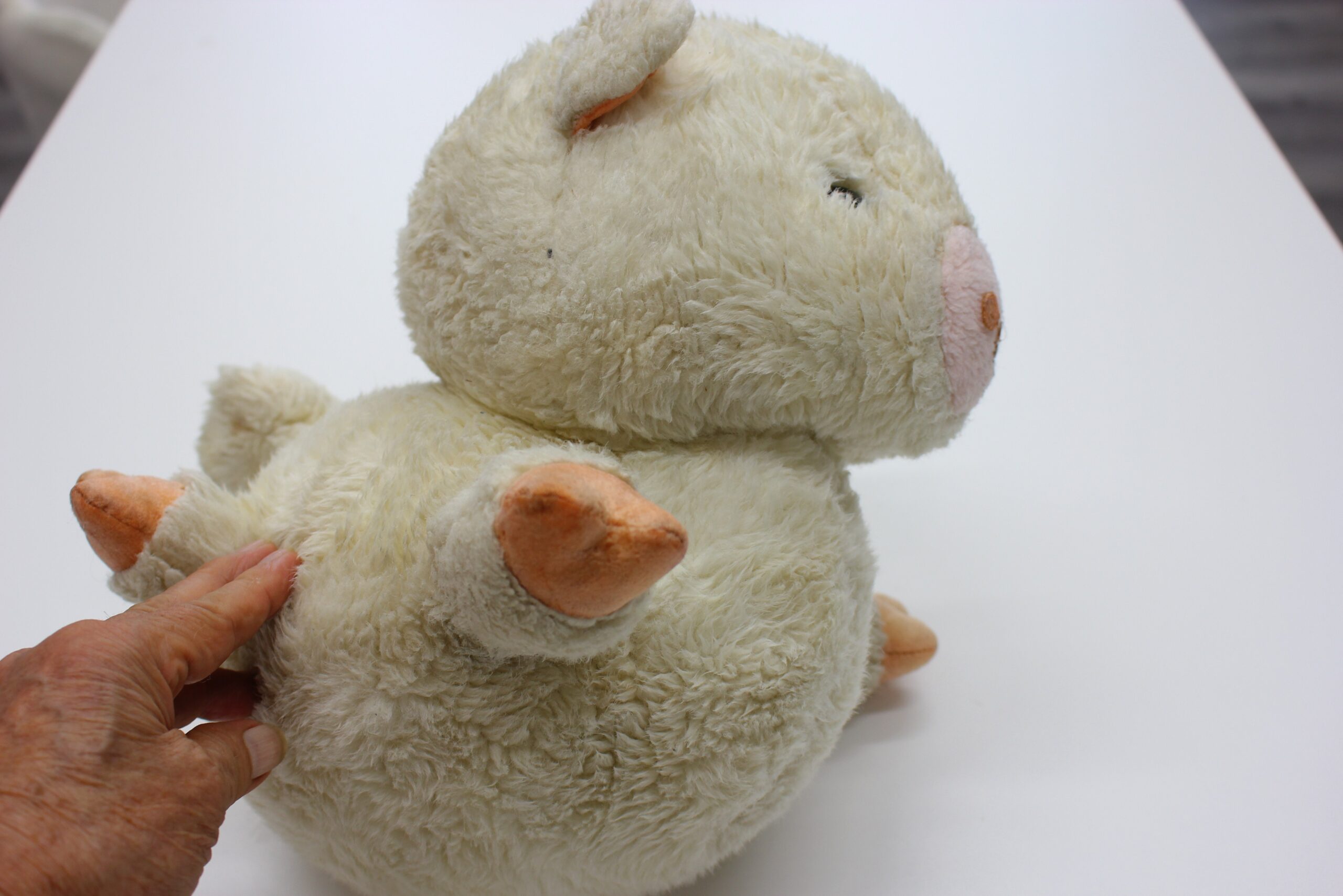 仕上がった横姿。鼻、耳、手足と体のバランスを確認します。