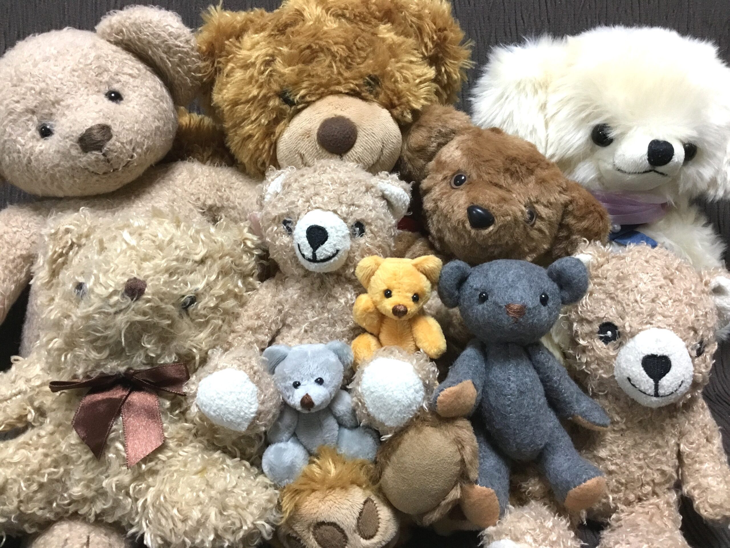 大きさや作りの異なるクマのぬいぐるみたち。ジミーとは別の参考写真です。