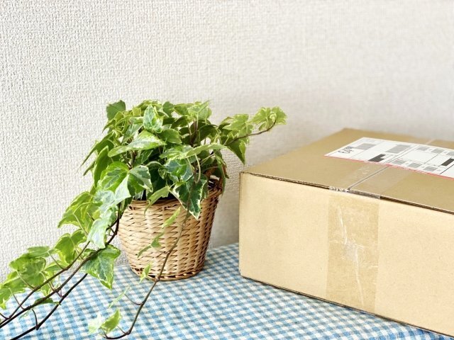 届いた宅配荷物のイメージ。
