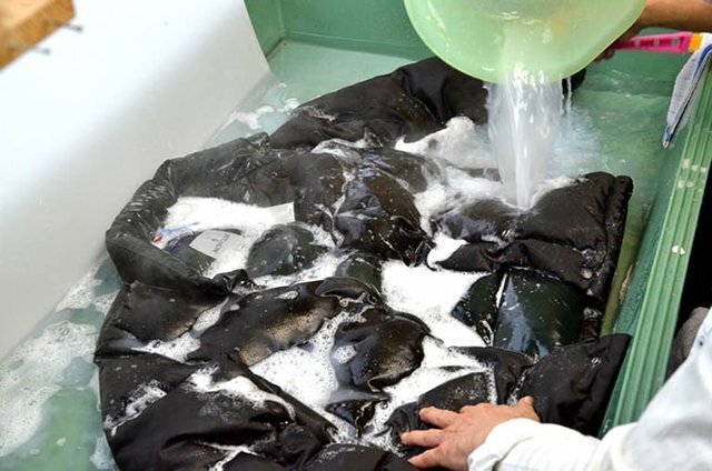 ダウンに泡と水を行き渡らせて洗う作業。