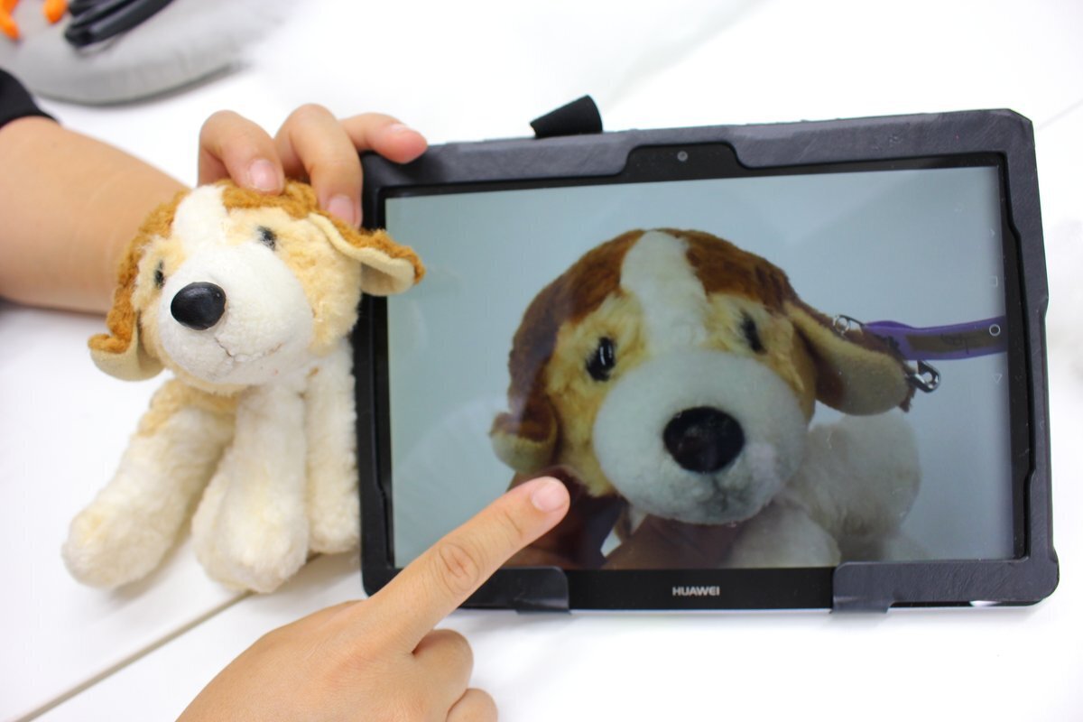 犬のぬいぐるみと写真を照らし合わせ、形や表情を確認する様子。